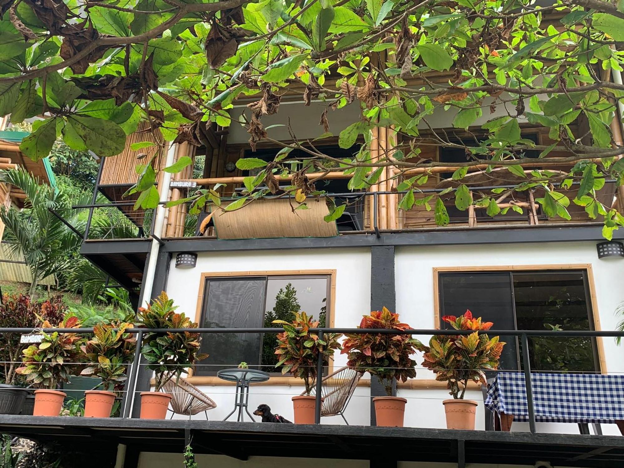 Bambura Hermosa Villas Uvita Buitenkant foto
