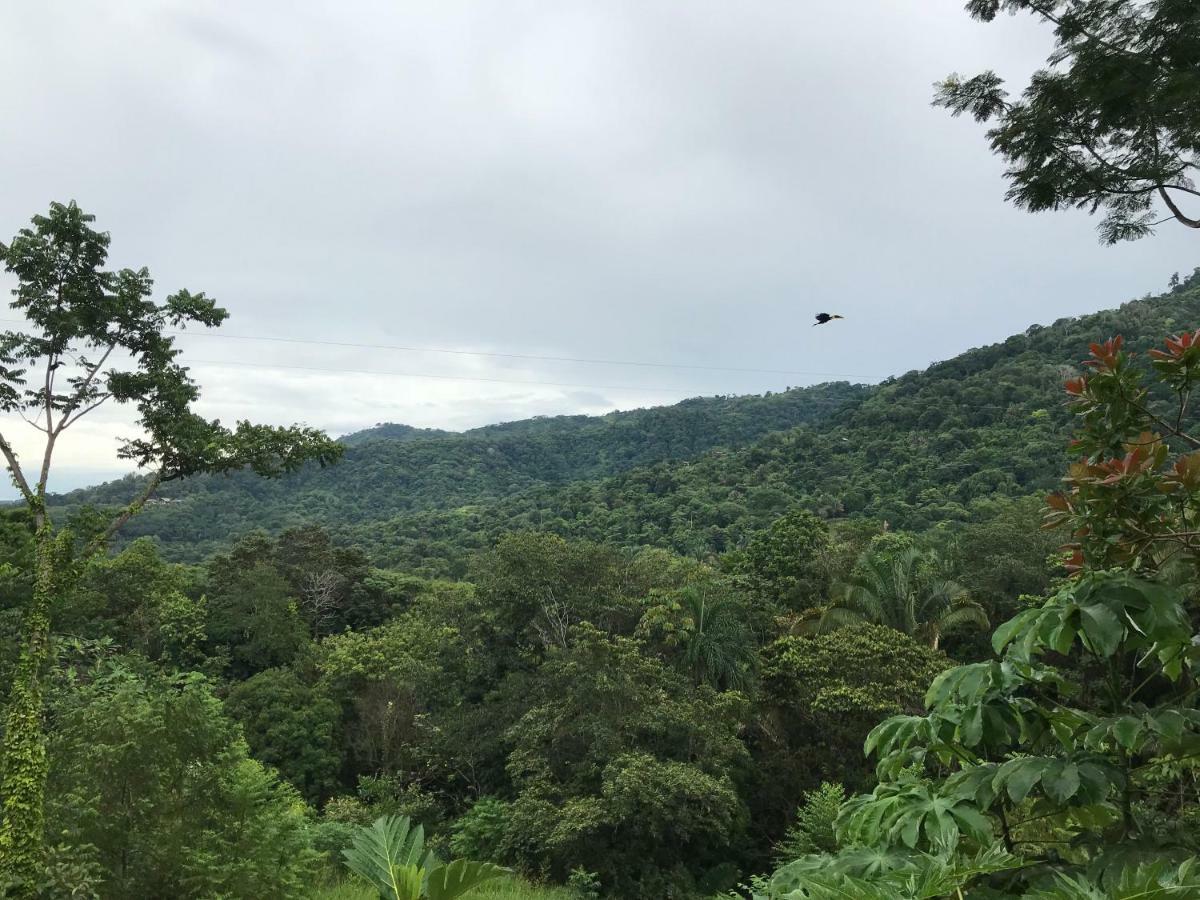Bambura Hermosa Villas Uvita Buitenkant foto