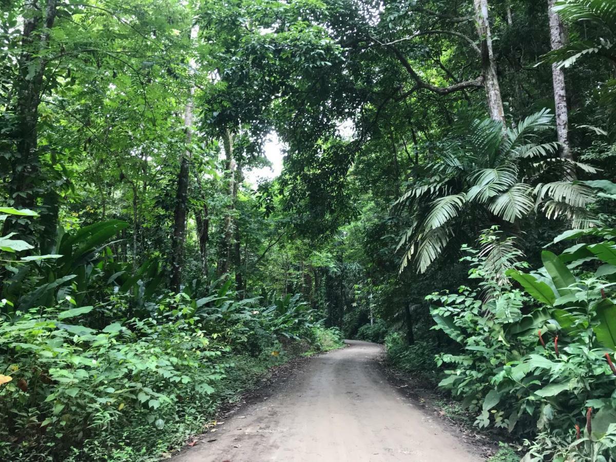 Bambura Hermosa Villas Uvita Buitenkant foto